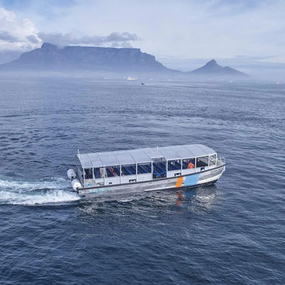 Allsealion Boat Passenger Ship Sightseeing Boat for Sale 13m  Aluminium Boat