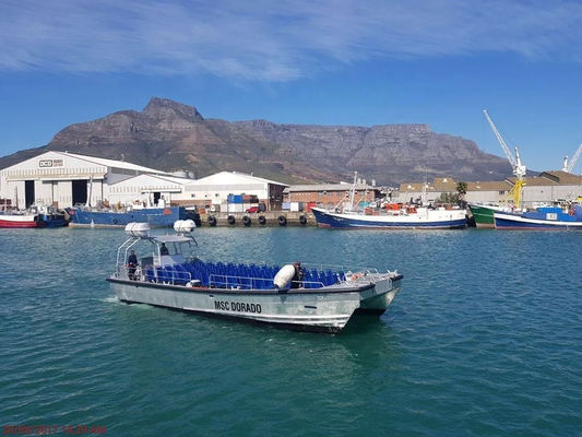Allsealion Boat Passenger Ship Sightseeing Boat for Sale 13m  Aluminium Boat