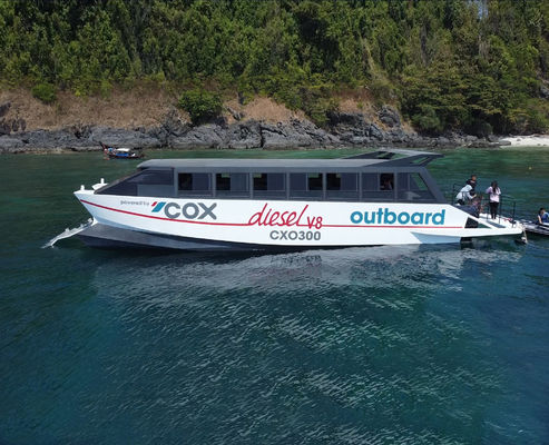 Allsealion Catamaran Passenger Boat with Twin Inboard Engine for 50 Passenger
