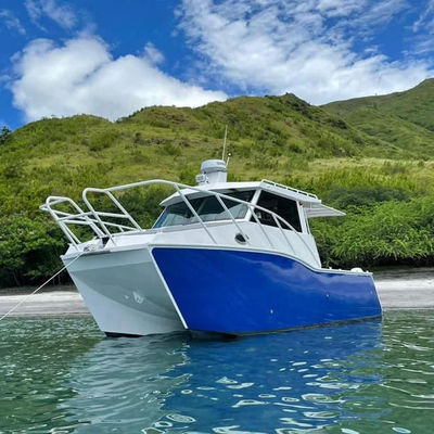 Factory Is Mass-produced 9m Catamaran Sport Fishing Boats 39ft Diving Boat